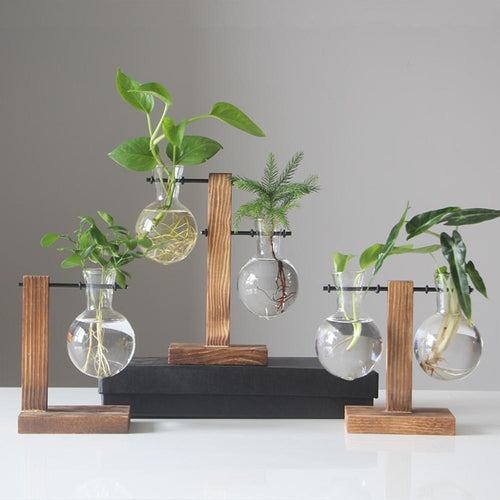 Hydroponic Plant Vase, Glass with Wooden Frame - cloudpeakmarket