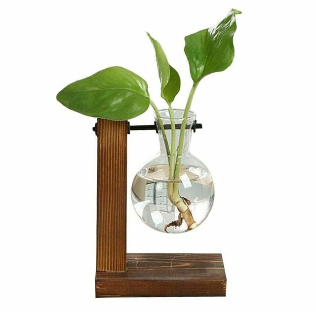 Hydroponic Plant Vase, Glass with Wooden Frame - cloudpeakmarket